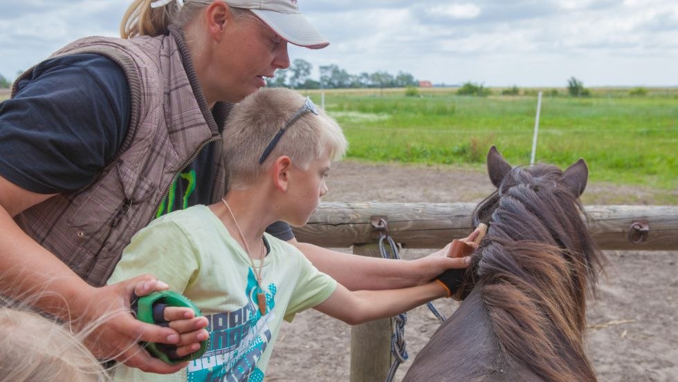 Rügen-Ferienhof: First contact at the horse, © TMV/Raff