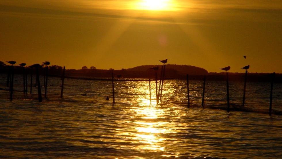 View of the backwater in the evening, © Natur Camping Usedom