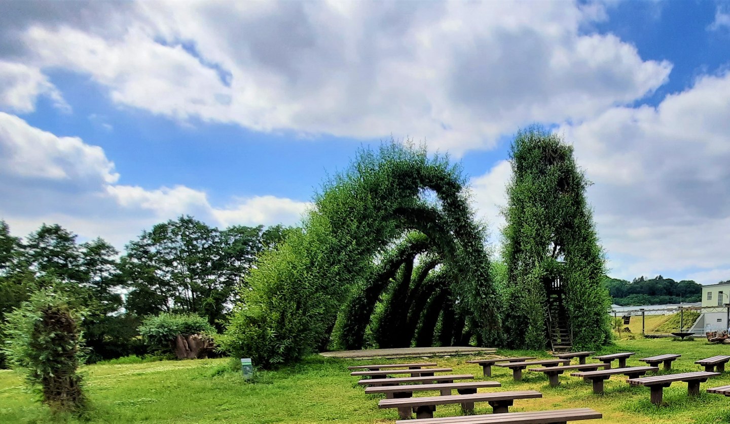 Willow snail and willow walk, © M. Lenthe