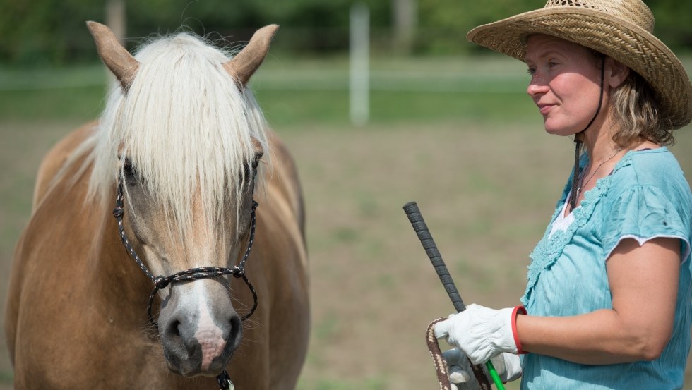 Riding and the sea: Through ground work, a relaxed and trusting atmosphere is established with the horse., © TMV/ Hafemann