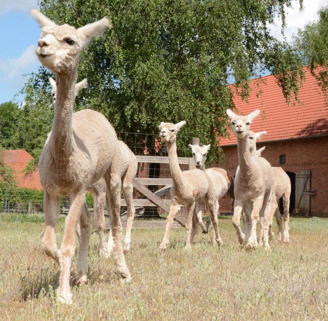 © Tourismusverband Mecklenburg-Schwerin