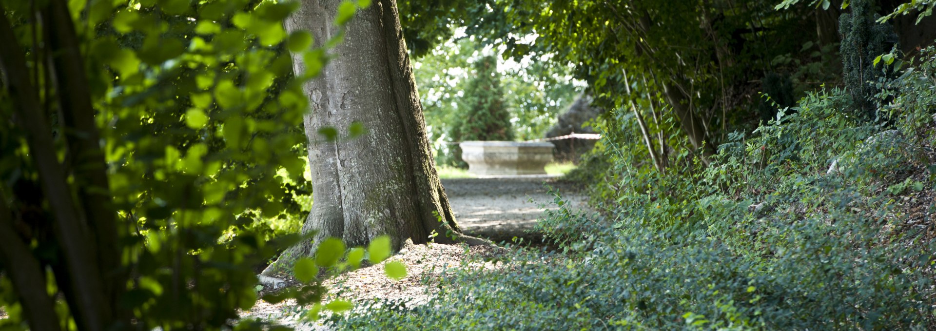 Park around Wiligrad Castle on the steep coast of Lake Schwerin, © SSGK MV / Jörn Lehmann