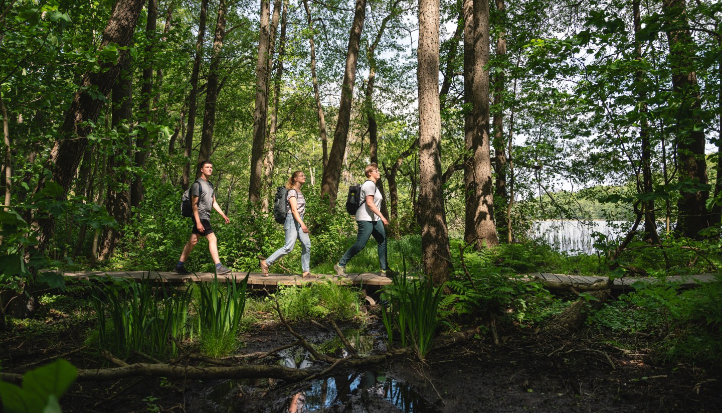 There are many ways and paths to explore the nature of the Sternberger Seenland. Three friends set off on foot through the dense forests on the shores of Lake Labenz., © TMV/Gross