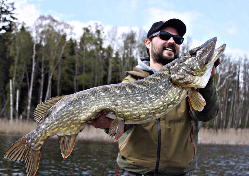 Beautifully drawn pike from Mecklenburg-Vorpommern, © Steven Carle