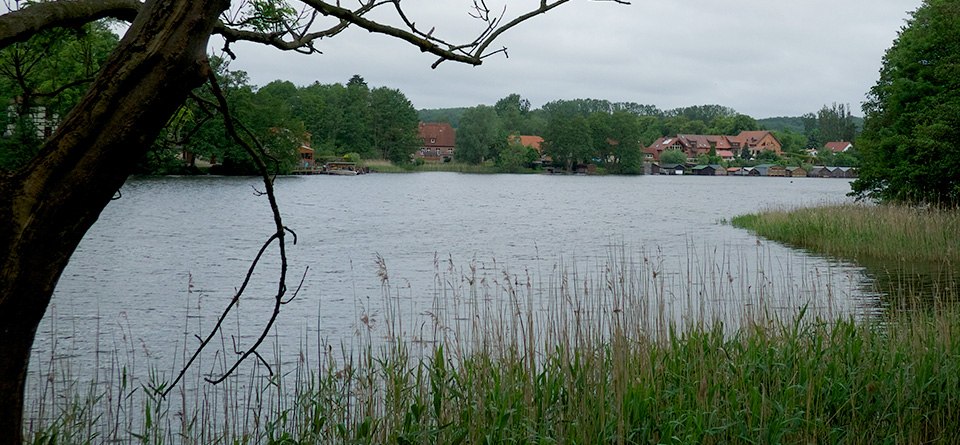 At the Feldberg house lake, © F. Krull