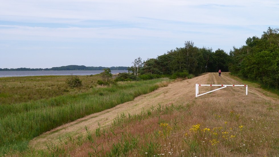 During your hike on the dike of Ummanz you always have the island of Hiddensee in view, © Ummanz-Information/Bordych