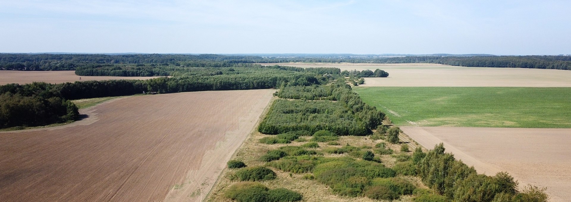 Former border strip "Green Belt" at Lake Schaalsee, © Landesforst MV