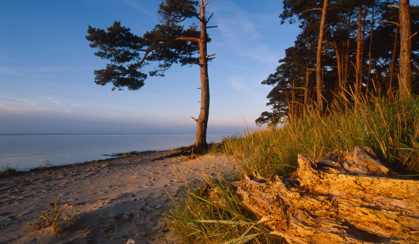 Ludwigsburg beach - evening mood, © TMV.Thomas Grundner