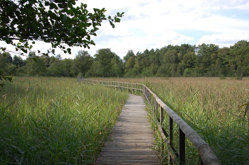 The trail leads through sections of forest and across wet meadows., © Gabriele Skorupski