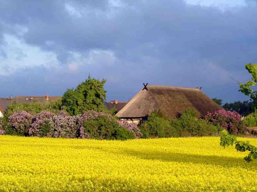 Haus Hoppe studio for fine arts - idyllically situated in the middle of blooming landscape, © Olaf Hoppe