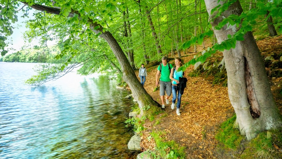 Paths along the lakeshore of the Schmaler Luzin in the Feldberg lake district, © TMV/foto@andreas-duerst.de