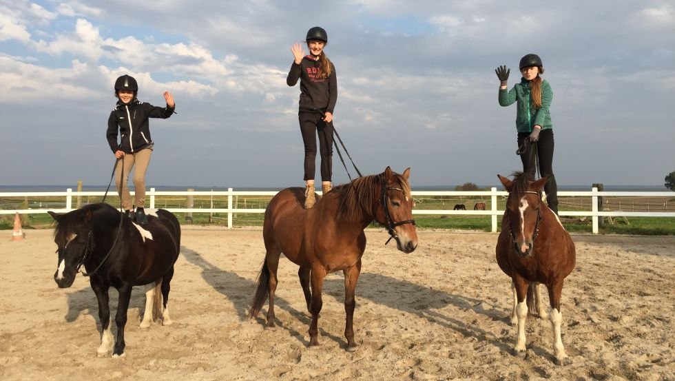 The quiet and gentle horses of farmer Hartmann are ideal for one or the other untypical riding lesson., © Bauer Hartmann/ Frauke Beier