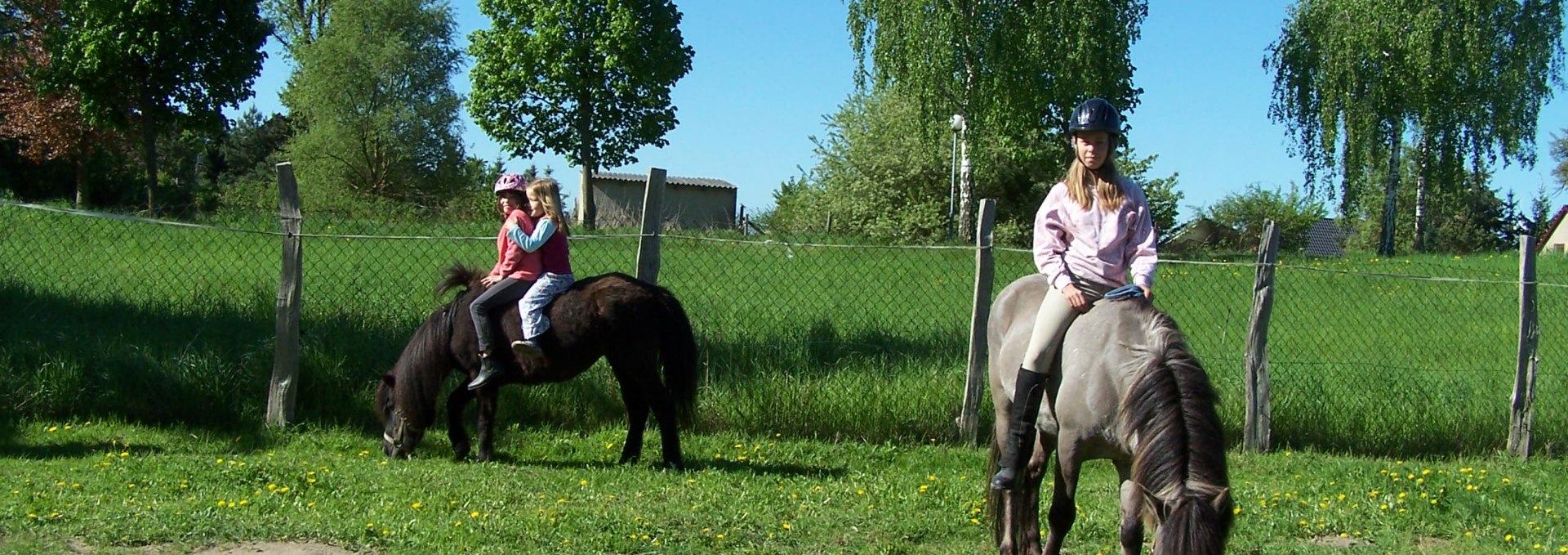 Vacations in the countryside with riding fun for young and old, © Thomas Wieners