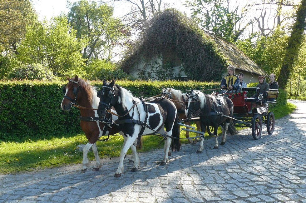 idyllic ride with the Kremser, © Ponyhof Rügen