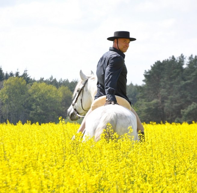 Spanish horses in Mecklenburg landscape, © Antje Kopplow