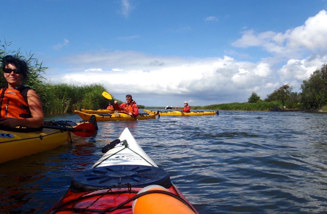 short rest wipe reed islands, © @Henrik Schmidtbauer, darßtour