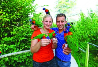 Visitors can feed the Australian loris, © Vogelpark Marlow/Zöger