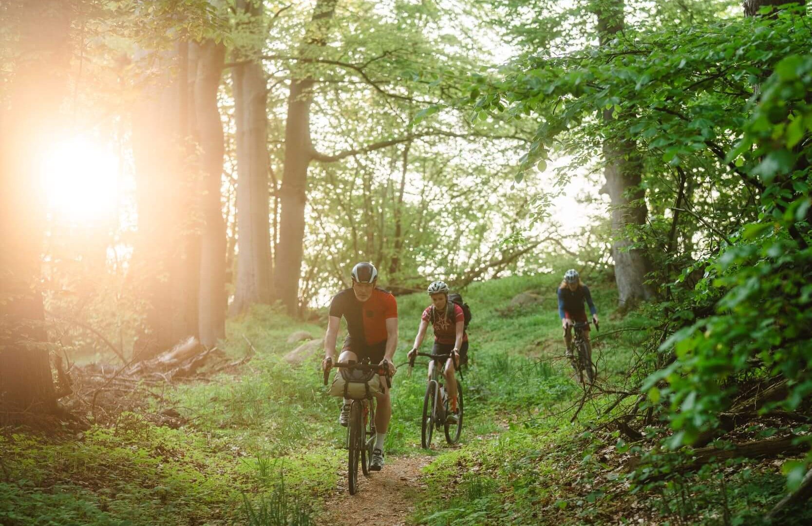 The descent from Himmelfahrtsberg to Demmin leads through a beautiful beech and chestnut forest.