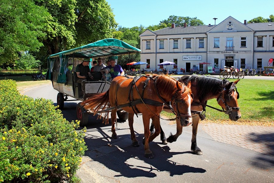 Carriage rides in the Boek Wildlife Park, © Rene Legrand