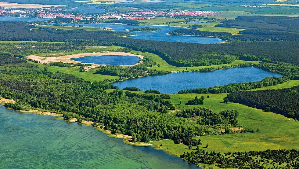 Müritz National Park captivates with a unique balance of forest and water areas, © TMV/Steindorf-Sabath