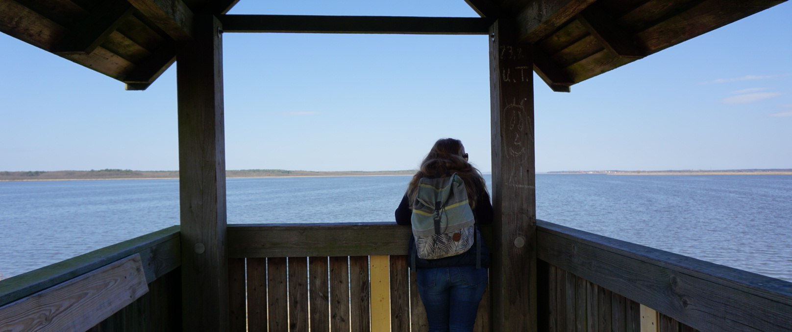 Observation tower at Neuwarper Lake, © tvv-bock