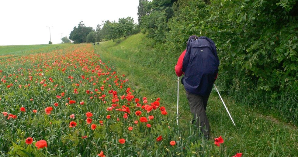 Wide land, so close to heaven - pilgrimage in Mecklenburg-Vorpommern, © Archiv Ev.-Luth. Kirchenkreis Mecklenburg