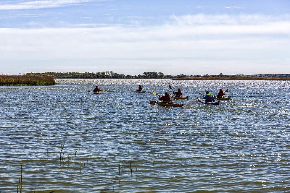 Kayaking on the Saaler Booden, © Tourismusverband FDZ/voigt & Kranz UG