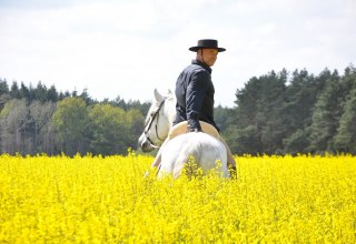 Spanish horses in Mecklenburg landscape, © Antje Kopplow