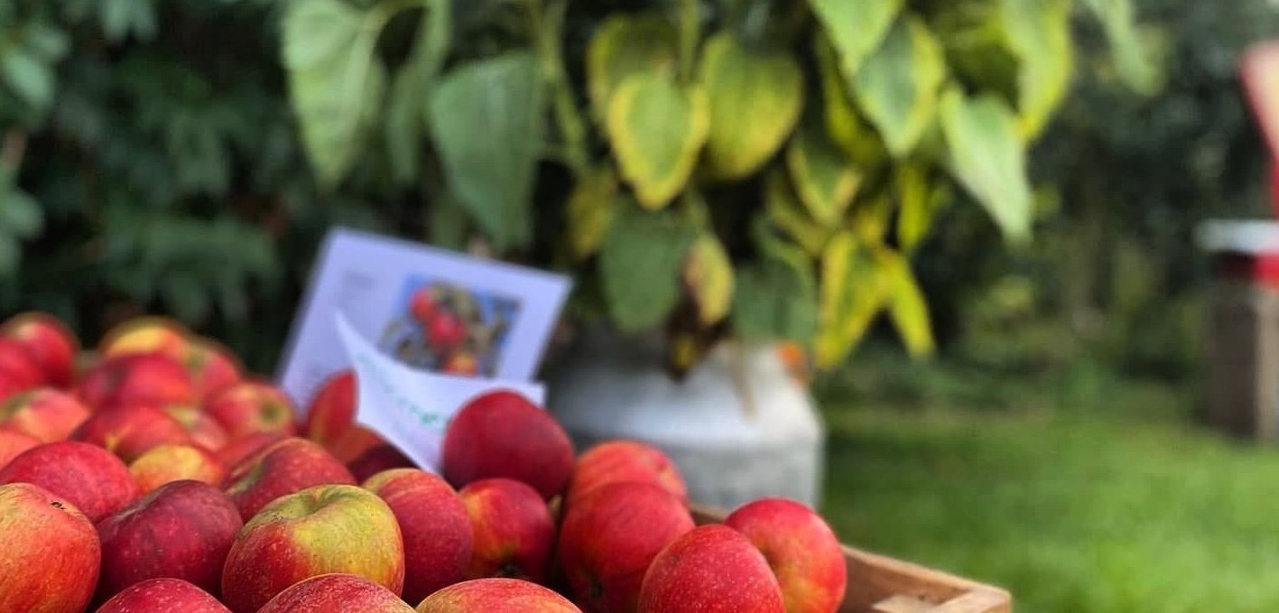 Fragrant organic apples and fresh juice pressed from them!, © Albrecht Schuhr