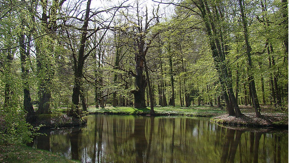 Ludwigslust castle park spring, © Tourismusverband Mecklenburg-Schwerin