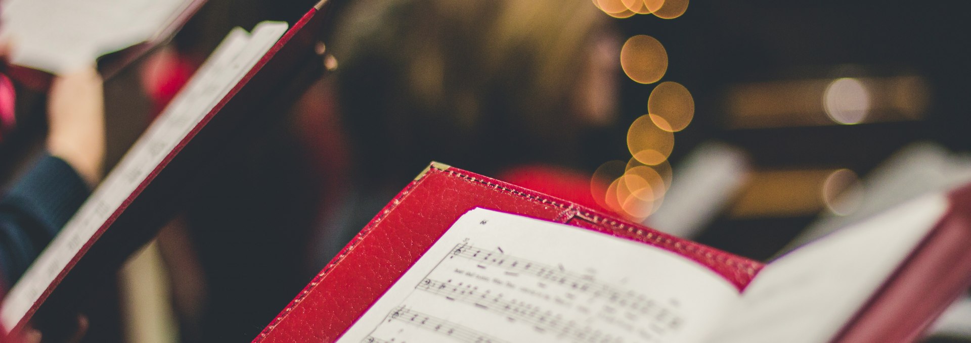 Advent in the park | Fridays: Singing together & torchlight hike on the beach, © Foto von David Beale auf Unsplash