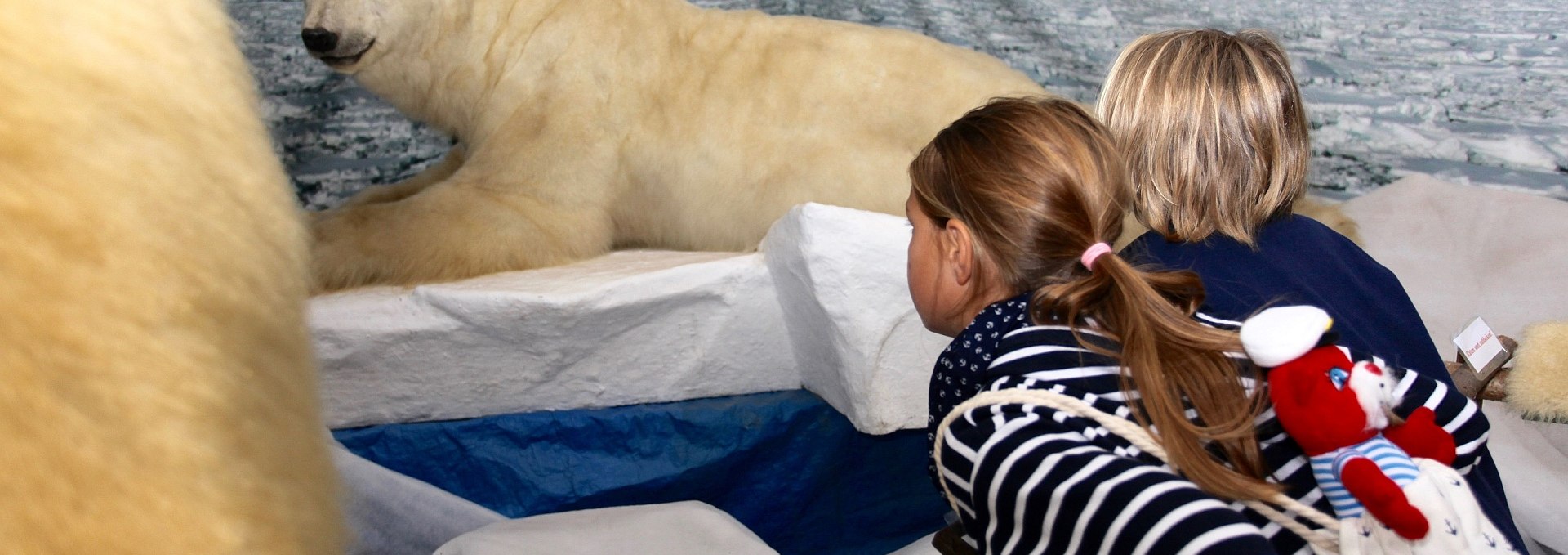 Polar bears at Wildlife Usedom, © H. Böhm / trassenheide.de