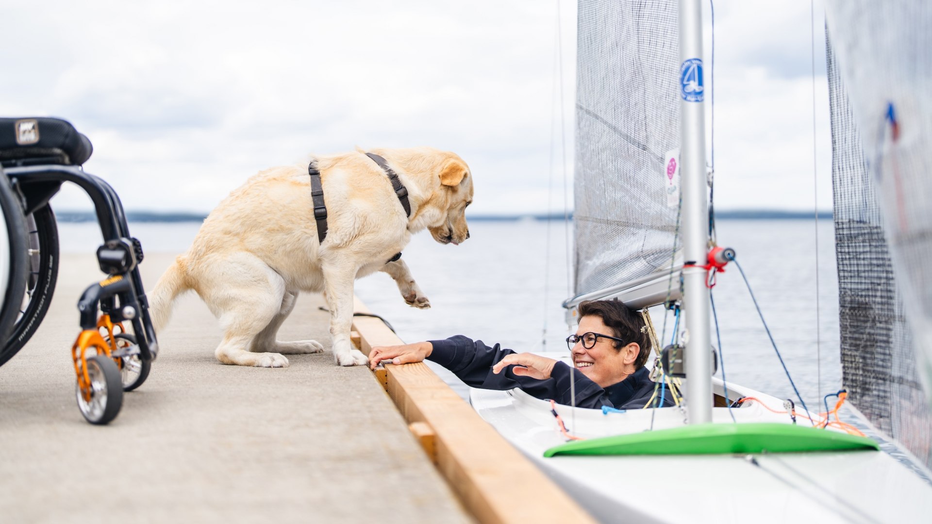 Getting on and off is no problem on the special jetty. Labrador Mr. Karlsson is happy to see you again., © TMV/Gross