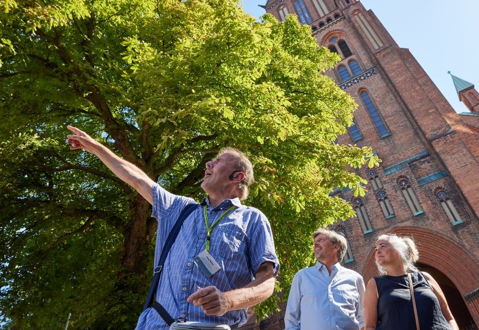 Schwerin city tour | Schwerin Cathedral, © Oliver Borchert