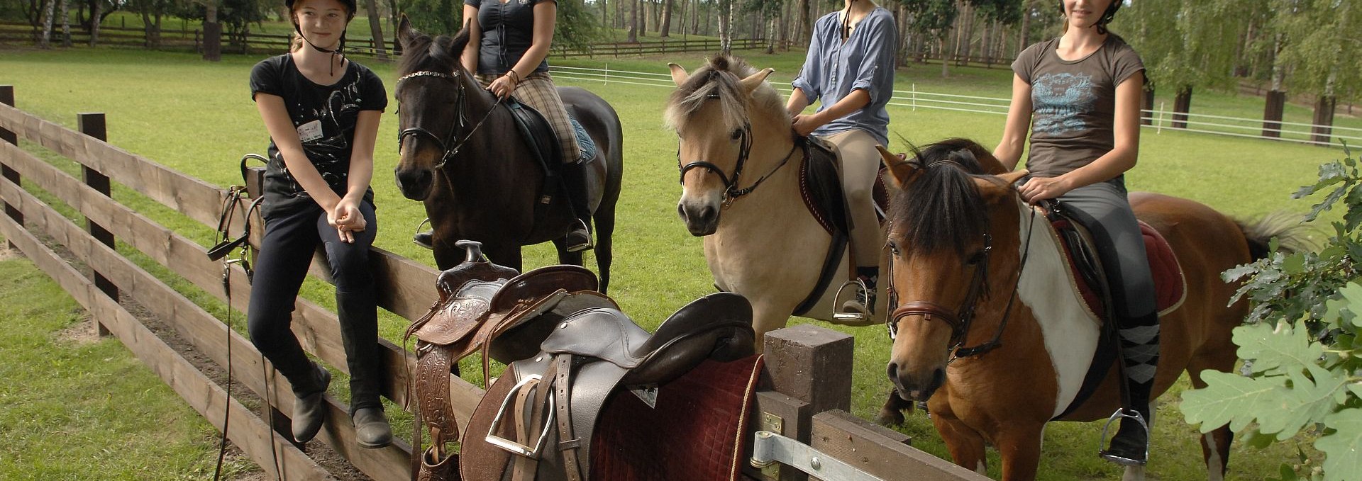 Riding ponies and horses, © Timo Weisbrich