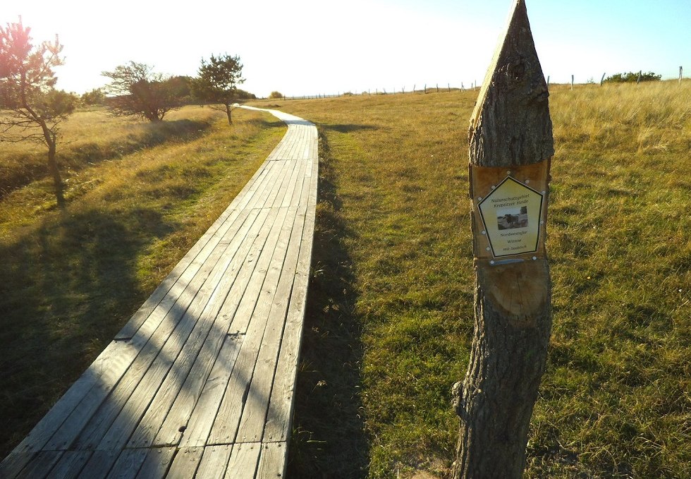 Nature reserve northwest shore Wittow and Kreptitz Heath, © Tourismuszentrale Rügen