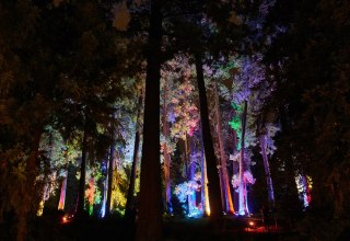 Illuminated park, © Salzmuseum Mecklenburg