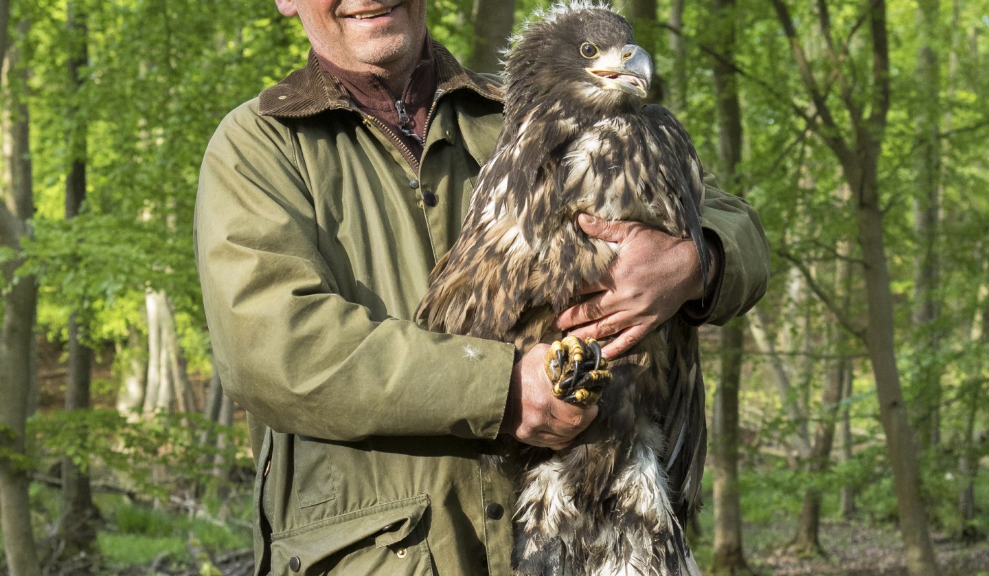 White-tailed eagle, © Mario Müller