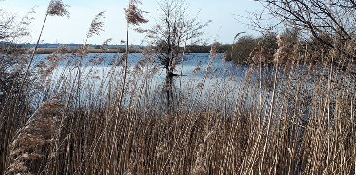 Siebendörfer Moor, © ADFC-Schwerin