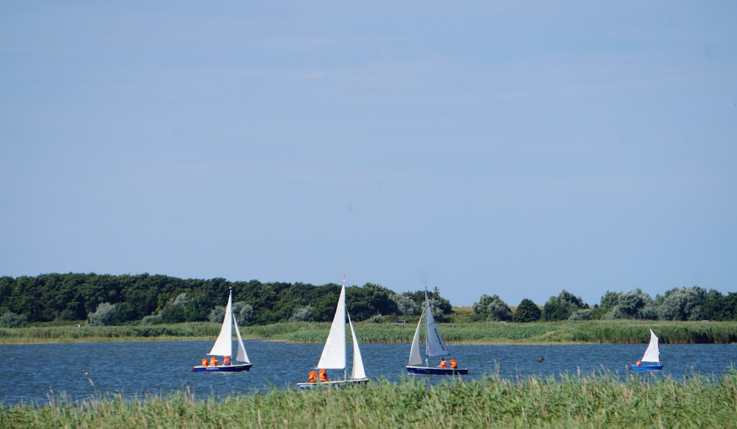 Fischland Sailing School, © Cindy Wohlrab / KVW Wustrow