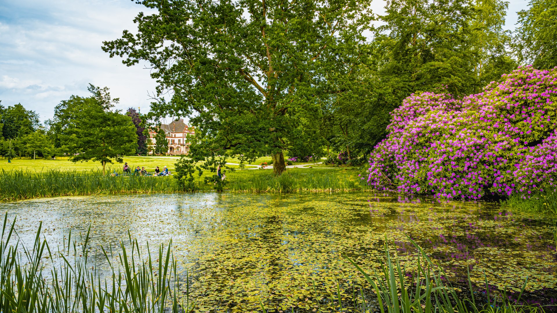 The pond has also become what it was always meant to be., © TMV/Tiemann