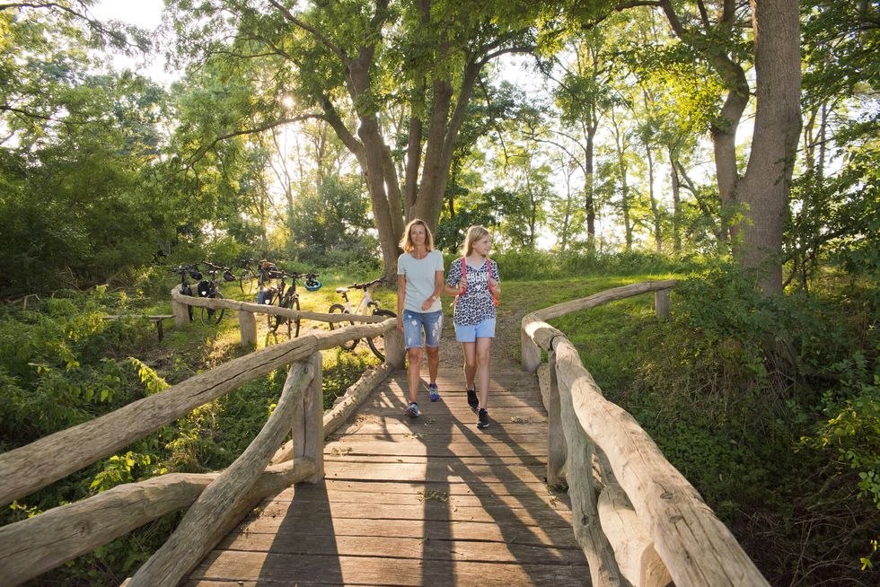 Bridge to the observation tower, © C. Drühl/Tourist-Info