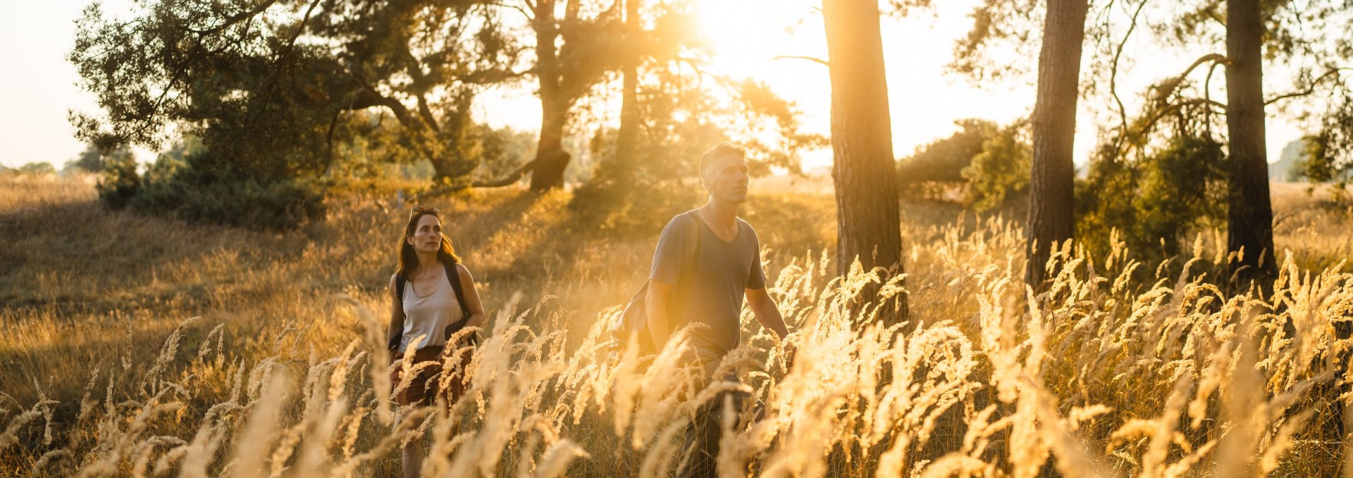 A couple walks through golden grass and trees near Menzlin as the setting sun illuminates the landscape.