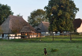 Horse farm Schwalbennest: View of our small, family-run equestrian farm in Jörnstorf, where you and your pets are welcome., © Pferdehof Schwalbennest/ Rauth