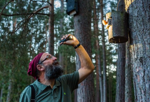 Nature enthusiasts can learn all about bats and species protection on a guided tour through the Nossentiner/Schwinzer Heide Nature Park - here near Lake Paschen and the Wooster Tar Kiln., © TMV/Kirchgessner