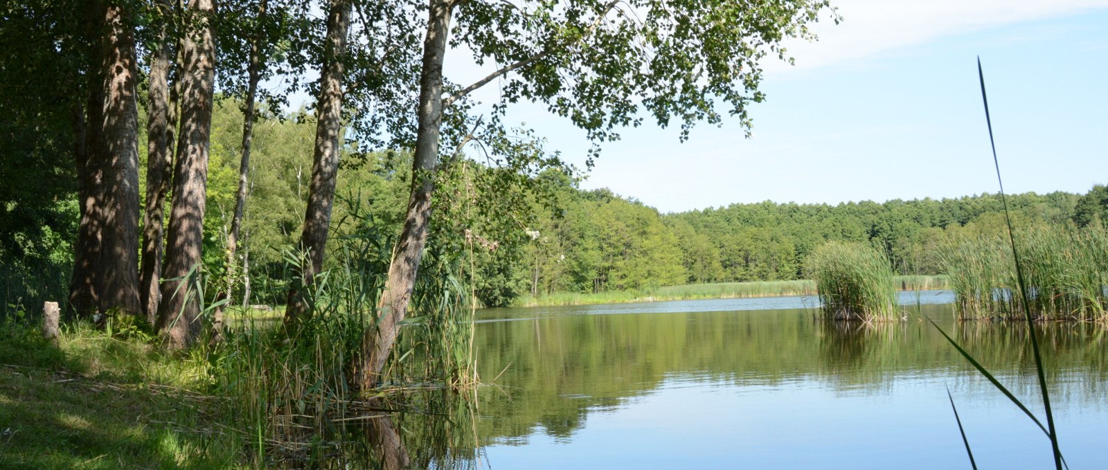 Carp ponds near Voigtsdorf, © Tourismusverband Mecklenburg-Schwerin