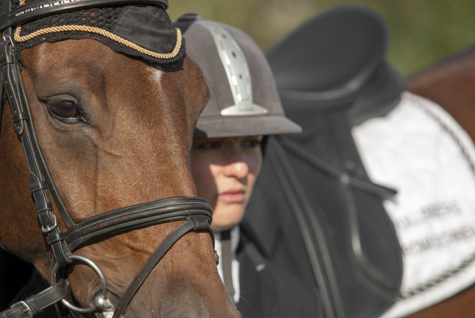 At riding courses in Mecklenburg-Western Pomerania, motivational badges and badge examinations can also be taken in various classes and riding styles, © TMV/ Hafemann