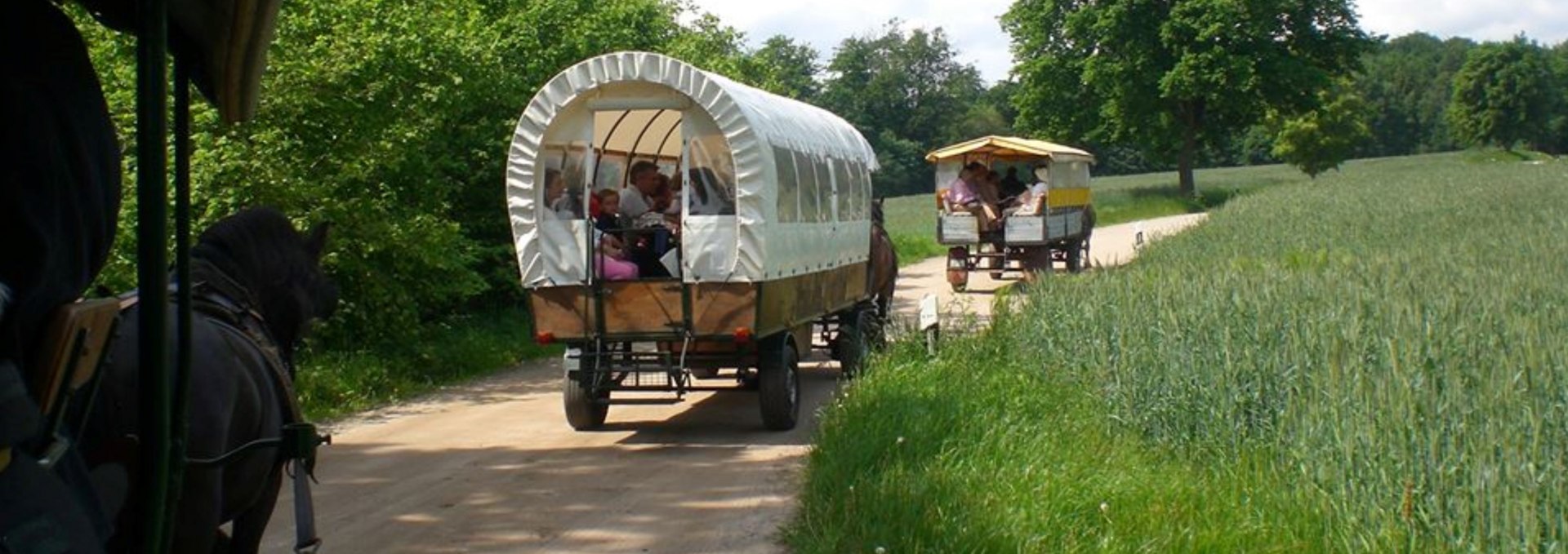 Experience nature in Mecklenburg ParkLand, © Feriengut Dalwitz