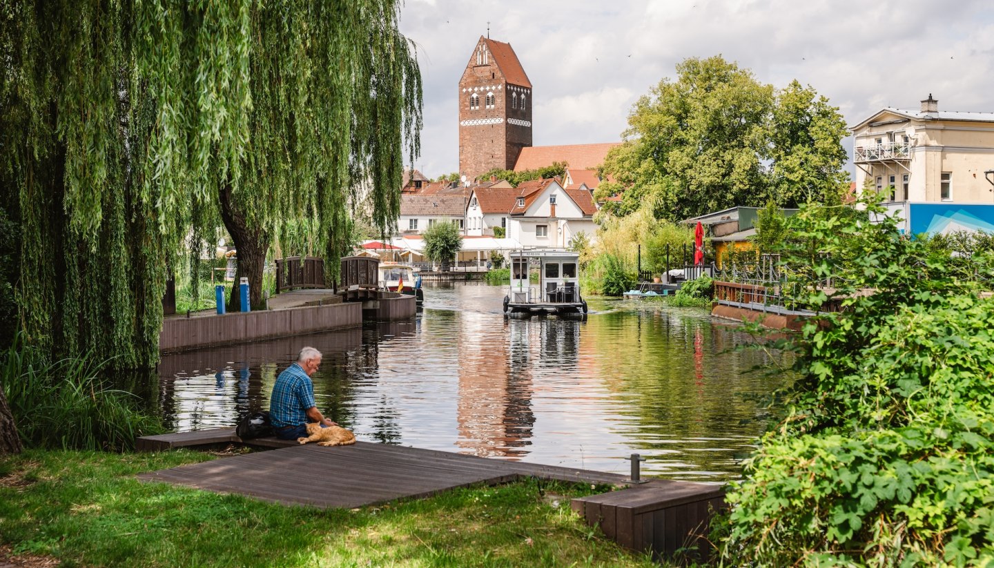 A man sits with his dog on the banks of a river in the center of Parchim, surrounded by willow trees and traditional houses in the background.