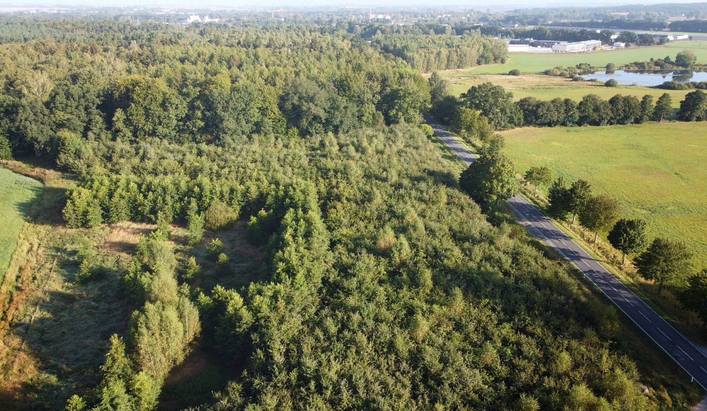 Climate forest Bützow, © Landesforst MV